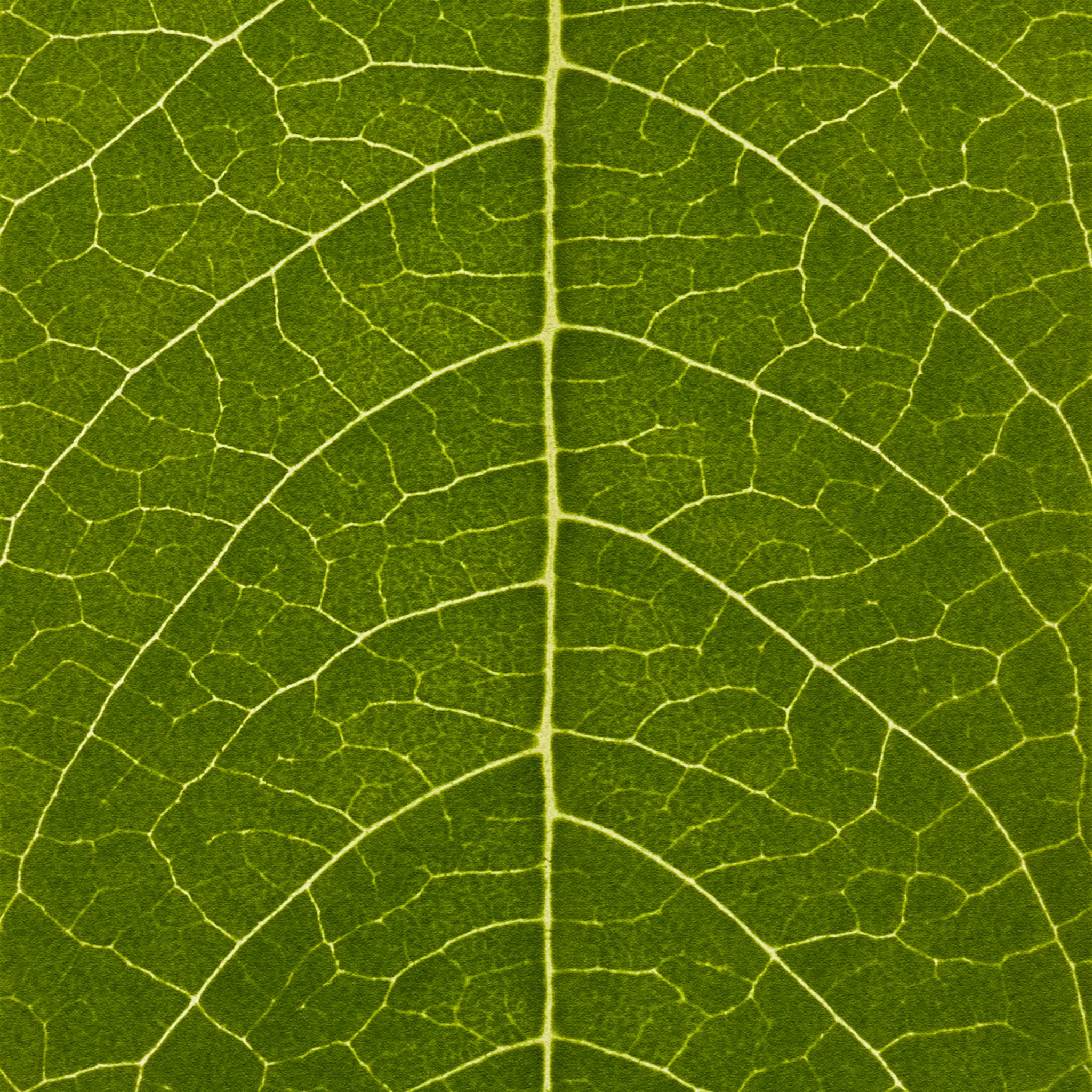 Hemp Hand Protector - Image 5