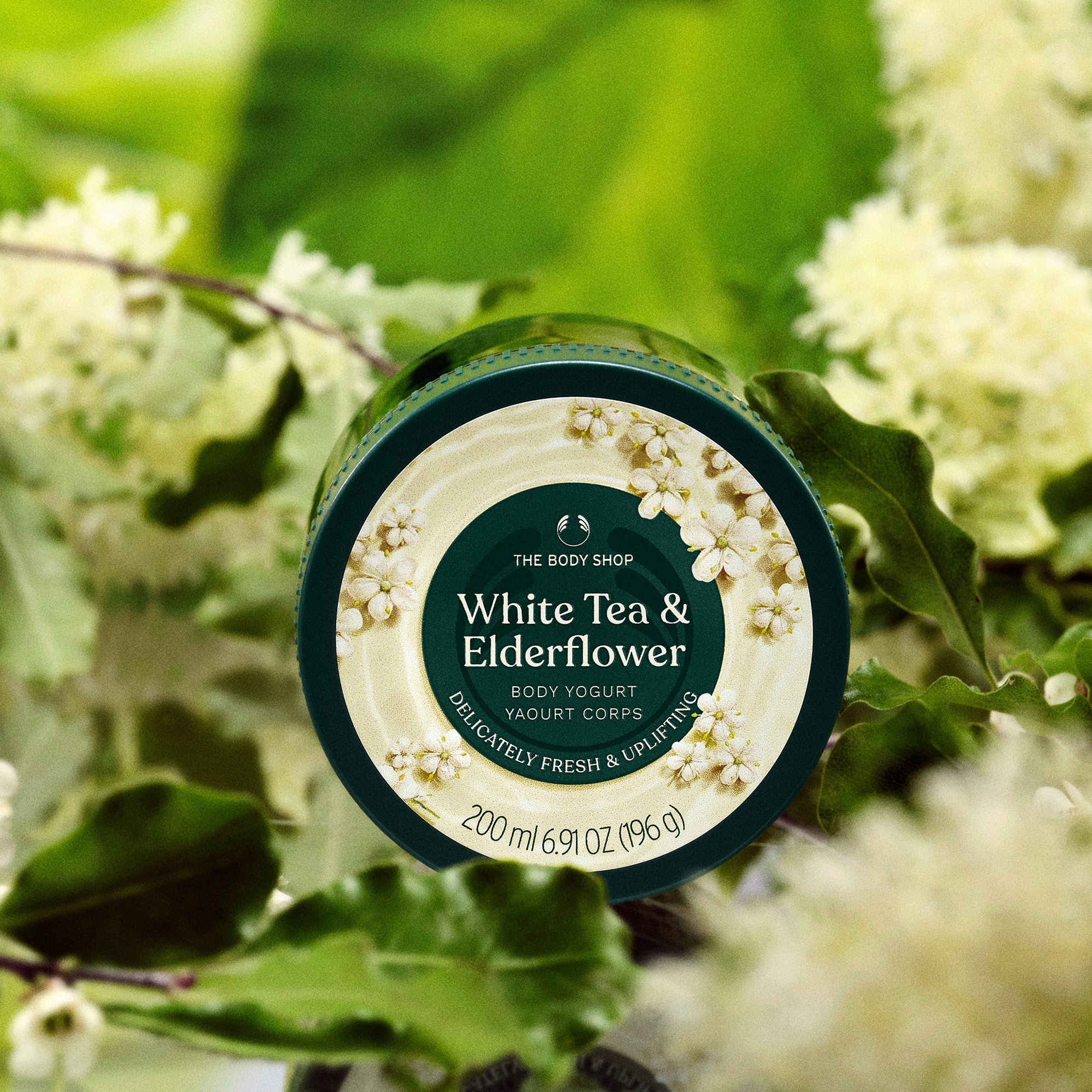 White Tea & Elderflower Collection - Image 15